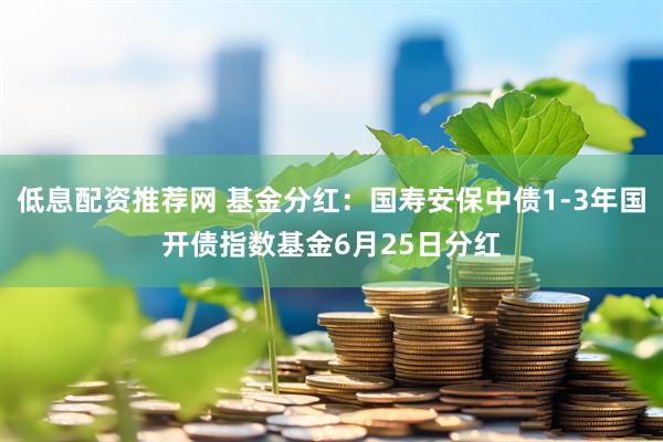 低息配资推荐网 基金分红：国寿安保中债1-3年国开债指数基金6月25日分红